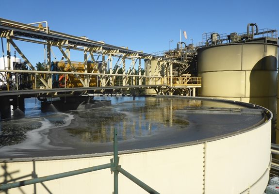 thickener froth solutions